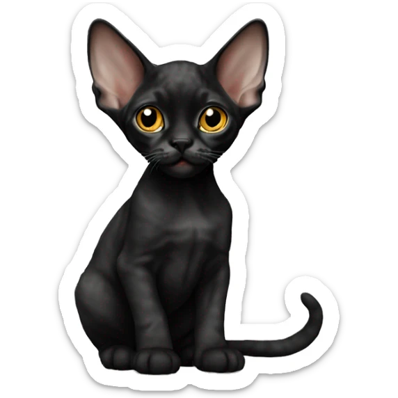 Black Devon Rex kitten sticker