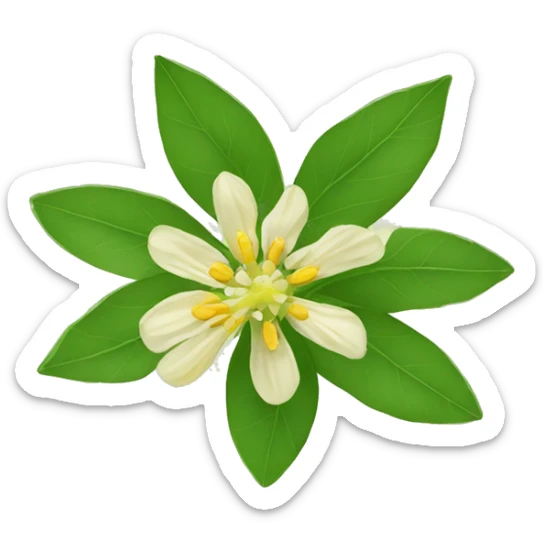 Ashwagandha flower with greenish-yellow petals and a central yellow stamens emojis sticker