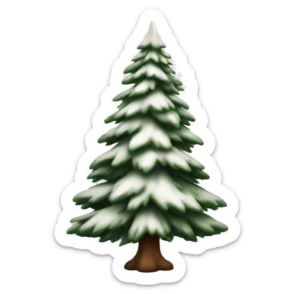 actual white fir christmas tree isolated.  sticker