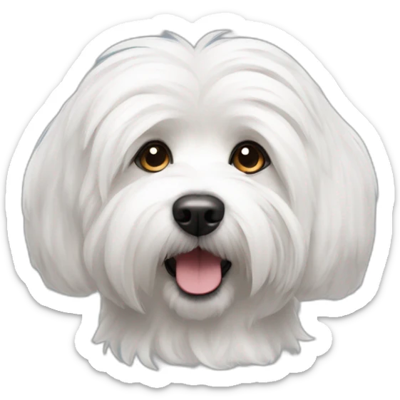 Coton de tulear sticker
