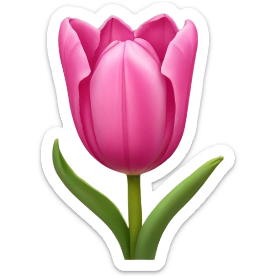 Pink tulips with a bow sticker