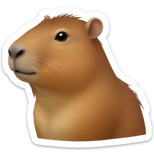 Capibara sticker