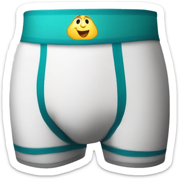 underwear boxer brief with anti chafe panels on the inside of the legs. They say "step one" on the waistband sticker