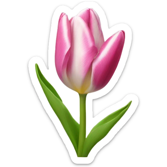 tulip sticker