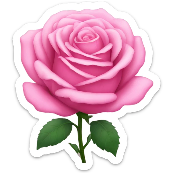 Pink rose  sticker