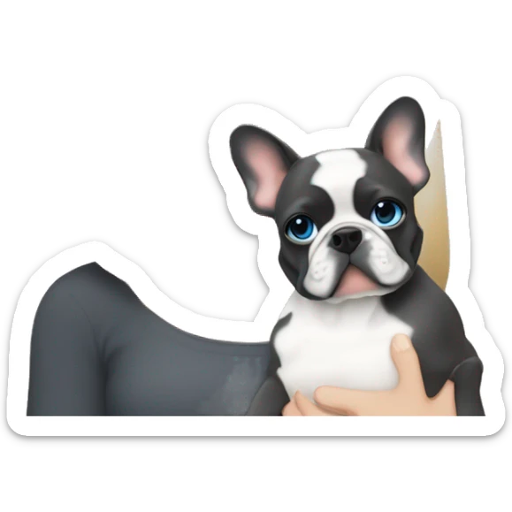 Blonde girl blue eyes holding a dark grey frenchie and a fawn pied frenchie sticker