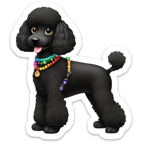 3 legs One Small furry Black Poodle with one  colorful bead necklaces with brown harness sticker