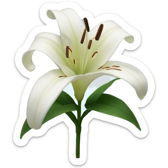 Lily sticker