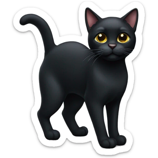 black cat sticker