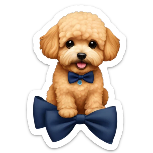 apricot maltipoo sitting on a large pumpkin wearing a navy blue bow tie sticker