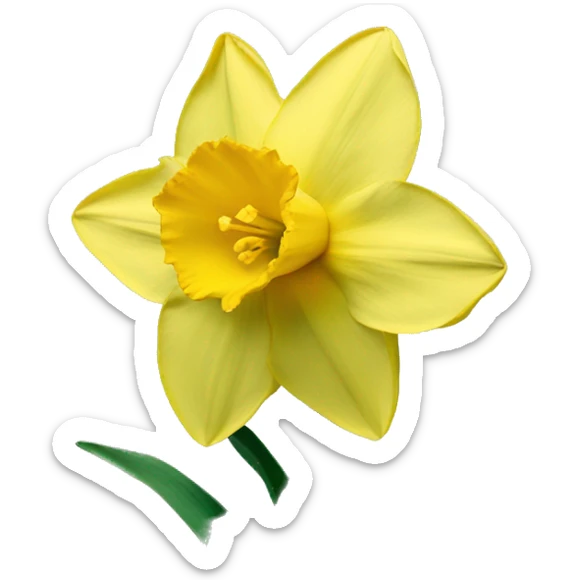 daffodil sticker