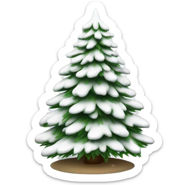  actual white fir christmas tree isolated.  sticker
