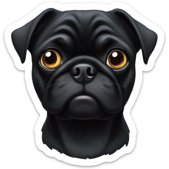 Black pug  sticker