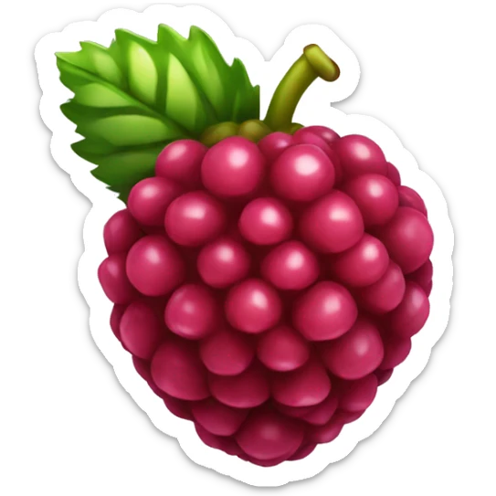 Raspberry  sticker