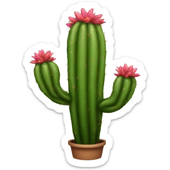 Cactus sticker
