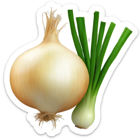 Onion  sticker