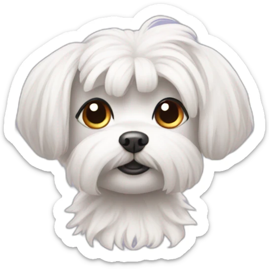 Maltese with hair tied up sticker