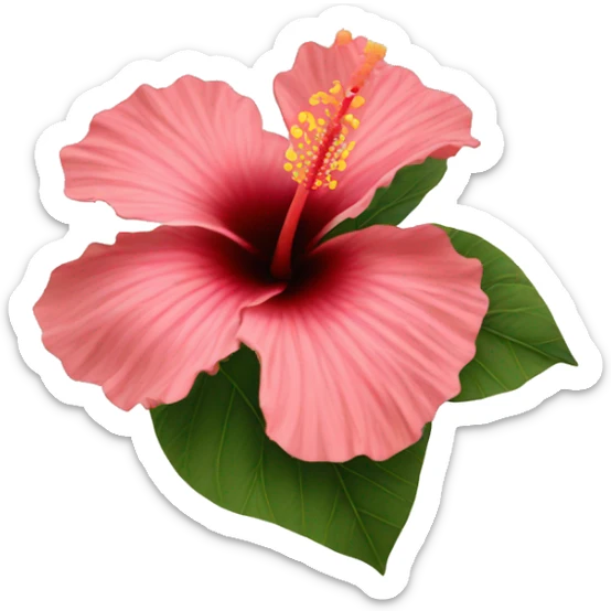 hibiscus flower  sticker