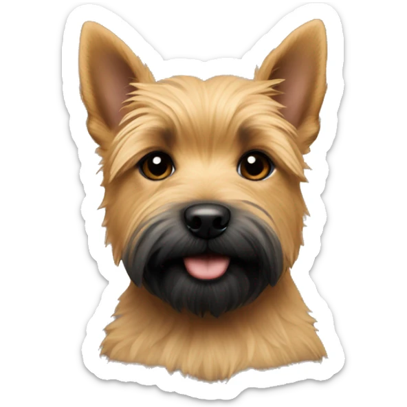 Portrait of a puppy of Norwich terrier Black and Tan colour ( black on forehead) sticker