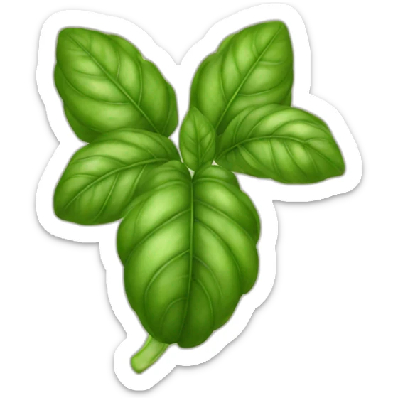 Basil sticker