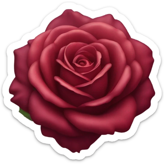 Hot rose sticker
