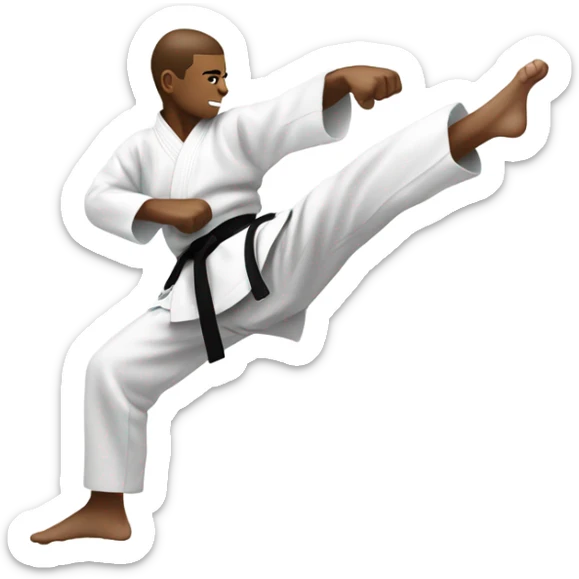Karate  sticker