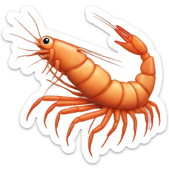 Shrimp sticker