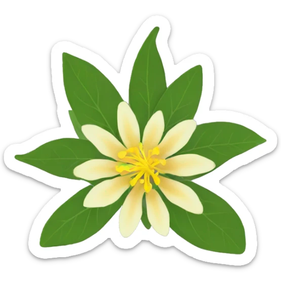 Ashwagandha flower with greenish-yellow petals and a central yellow stamens emojis sticker