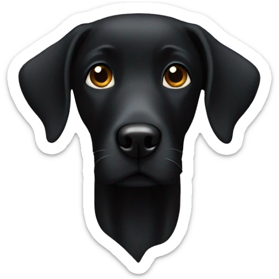 Black lab with dark eyes sticker