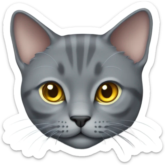 Full body chartreux cat sticker