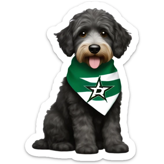 Aussiedoodle wearing a bandana with the NHL Dallas Stars hockey team logo sticker