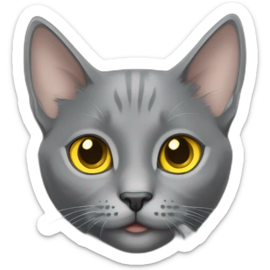 cuddly fluffy grey korat breed cat with yellow eyes black pupils, walking and playing female sticker
