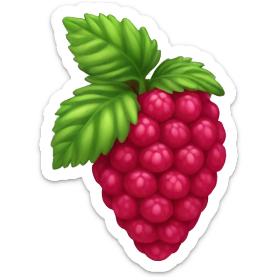 raspberry  sticker