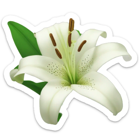Lily sticker