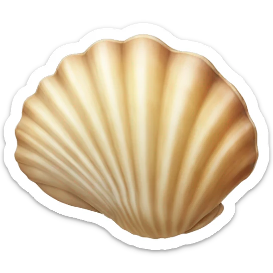 seashell sticker