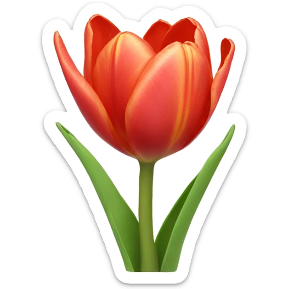 Tulips  sticker