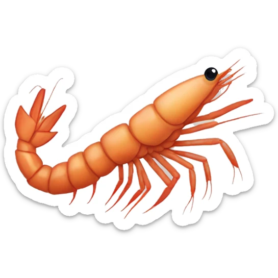 Shrimp sticker