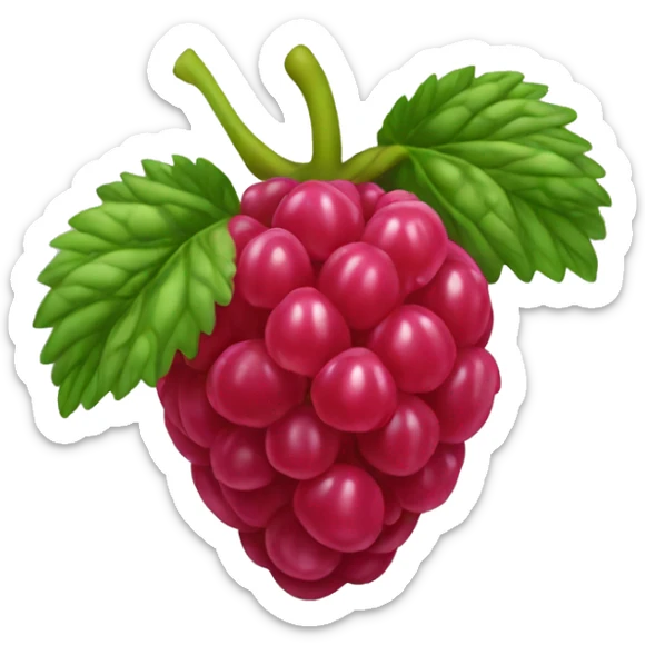 Raspberry sticker