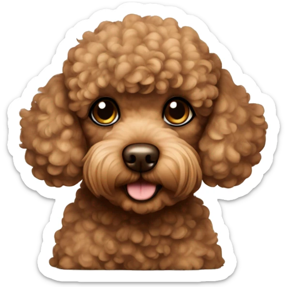 Brown toy poodle laying sticker