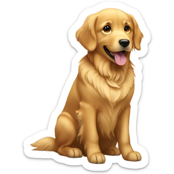 Golden retriever  sticker