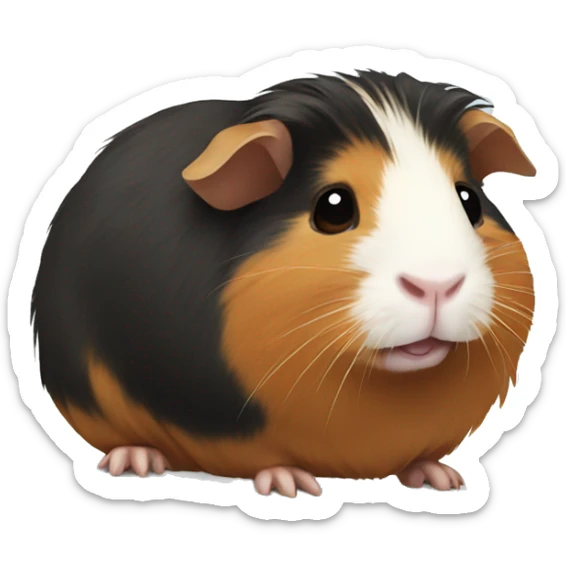 Guinea pig sticker
