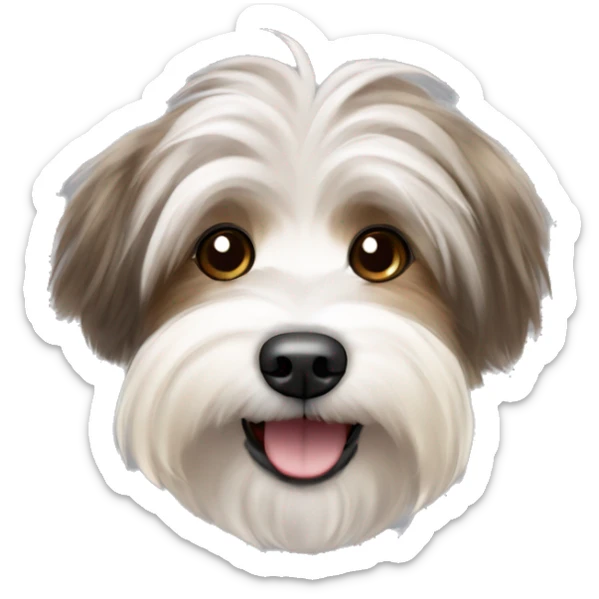 Havanese dog with ash brown and blonde streaks in the fur woth a happy expression sticker