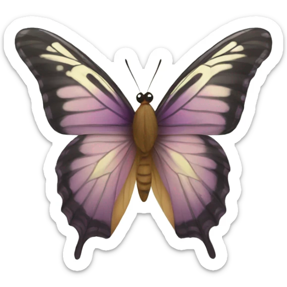 Butterfly  sticker