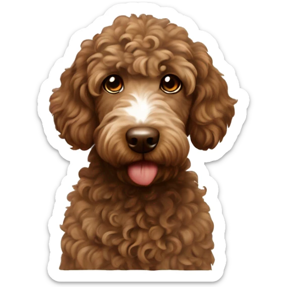 Curly brown sproodle with a white streak of fur on the chest  sticker