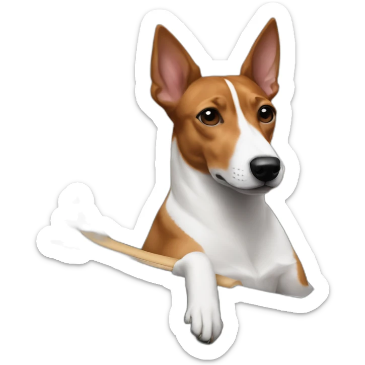 Tricolor basenji sitting in driver’s seat of a black Aston Martin sticker