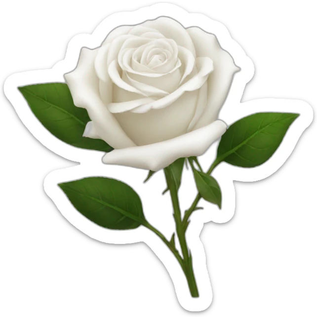 White rose sticker