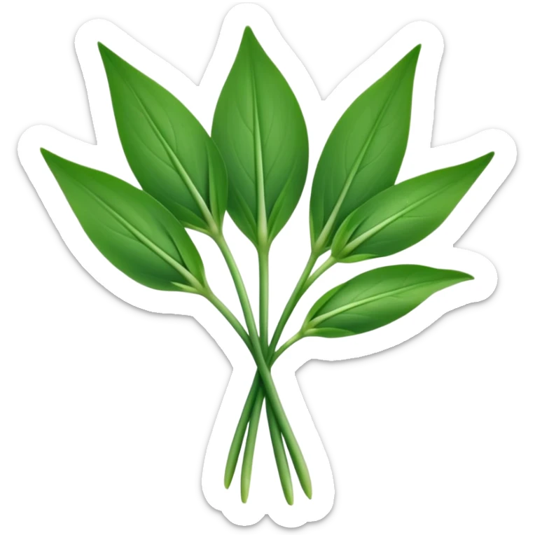 single sprig or small cluster of wild garlic leaves with smooth, elongated, lance-shaped blades, rich vibrant green color, soft central veins, fresh slightly glossy surface, gently arching from slender stems, no roots, no soil, no extras, apple emoji style, soft lighting, subtle shadows, emoji scale sticker