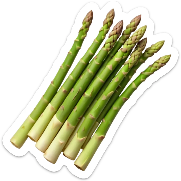 a bundle of asparagus spears, green, tight tips, firm stalks fading to pale, smooth with vertical ridges, natural color variation, stems aligned, unpeeled, slightly curved, no extras, soft lighting, emoji scale sticker