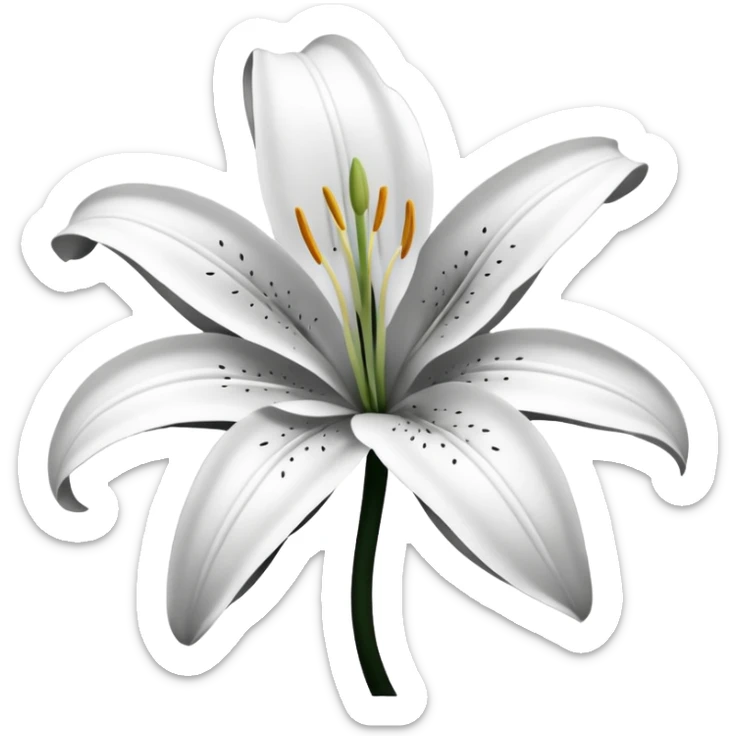 an outline of one singular lily flower, no colour,just outline sticker