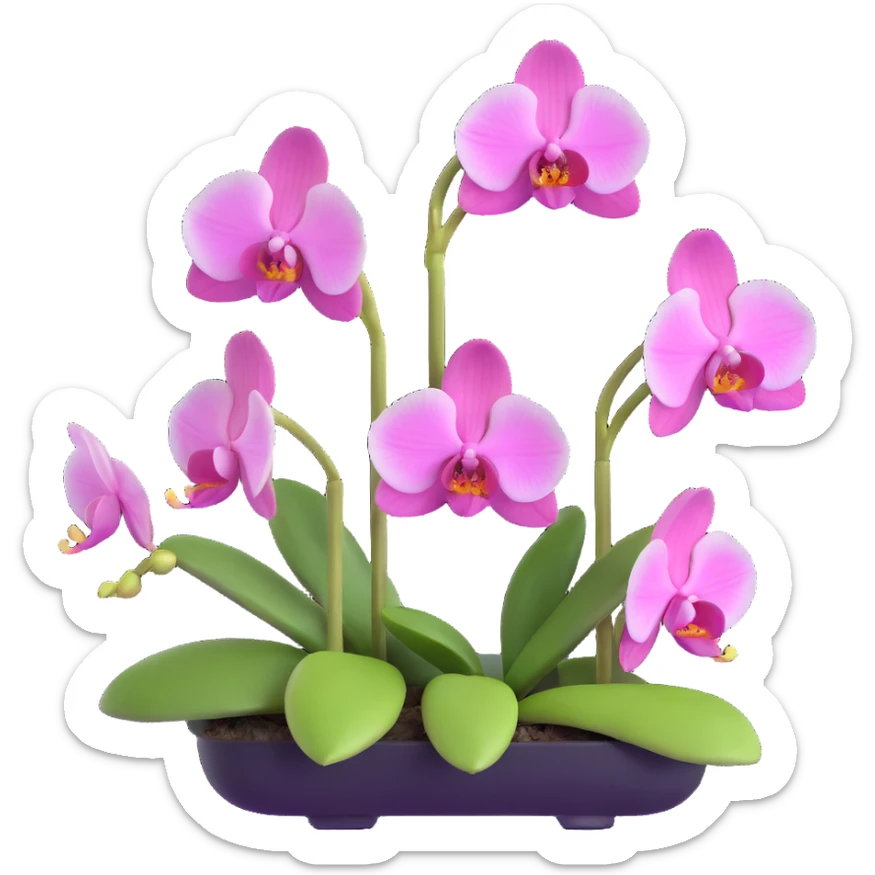 Elegant phalaenopsis moth orchid with detailed white and pink petals and green stem sticker